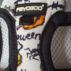 FAYOGOO Cat Harness,Easy Control Harness for Kitten and CaT